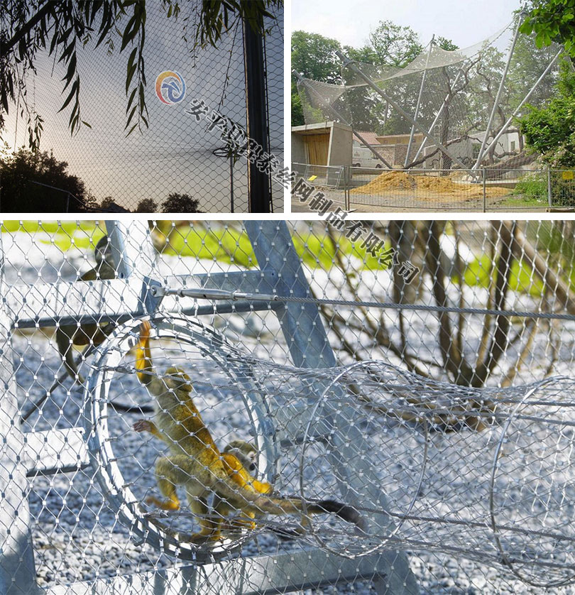 動物園防護網圖片